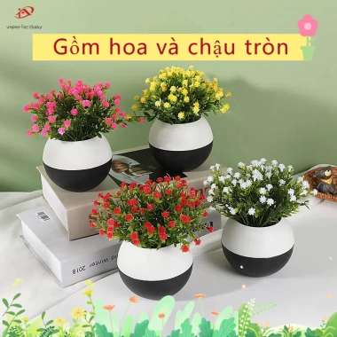 Chậu cây mô phỏng Gypsophila có hoa - Trang trí bàn làm việc, giá ưu đãi 40.000₫