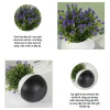 Chậu cây mô phỏng Gypsophila có hoa - Trang trí bàn làm việc, giá ưu đãi 40.000₫ 3