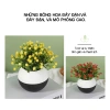 Chậu cây mô phỏng Gypsophila có hoa - Trang trí bàn làm việc, giá ưu đãi 40.000₫ 4