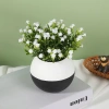 Chậu cây mô phỏng Gypsophila có hoa - Trang trí bàn làm việc, giá ưu đãi 40.000₫ 6