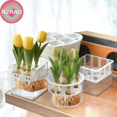Chậu Cây Tự Tưới N2HAO 1 Nhựa Hai Lớp Trong Suốt - Hấp Thụ Nước, Giá 60.610₫ 3