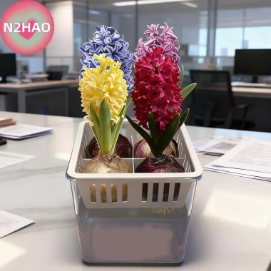 Chậu Cây Tự Tưới N2HAO 1 Nhựa Hai Lớp Trong Suốt - Hấp Thụ Nước, Giá 60.610₫ 4