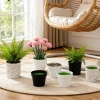 Chậu cây xanh nhân tạo - Đồ trang trí bàn, văn phòng, hiên nhà, chỉ 46.750₫ 4