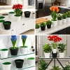 Chậu cây xanh nhân tạo - Đồ trang trí bàn, văn phòng, hiên nhà, chỉ 46.750₫ 7