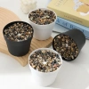 Chậu cây xanh nhân tạo - Đồ trang trí bàn, văn phòng, hiên nhà, chỉ 46.750₫ 8