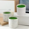 Chậu cây xanh nhân tạo - Đồ trang trí bàn, văn phòng, hiên nhà, chỉ 46.750₫ 9