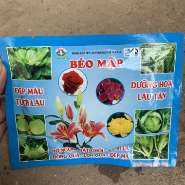 Chậu cô tông vàng chanh 30cm – Trang trí sân vườn, công viên, giá ưu đãi 15.000₫ 9 Chậu cô tông vàng chanh 30cm – Trang trí sân vườn, công viên, giá ưu đãi 15.000₫ 9