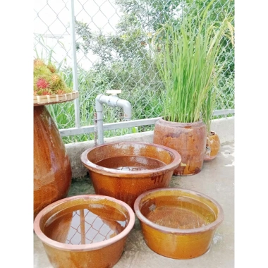 Chậu đa năng gốm 7: rửa rau, trồng sen, ngâm chân, nuôi cá, rửa tay - 139.000₫ 2