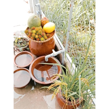 Chậu đa năng gốm 7: rửa rau, trồng sen, ngâm chân, nuôi cá, rửa tay - 139.000₫ 3