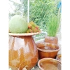 Chậu đa năng gốm 7: rửa rau, trồng sen, ngâm chân, nuôi cá, rửa tay - 139.000₫ 7