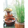 Chậu đa năng gốm 7: rửa rau, trồng sen, ngâm chân, nuôi cá, rửa tay - 139.000₫ 9