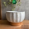 Chậu để bàn gôm sứ cao cấp, chậu trồng cây vân đá sang trọng - Giá chỉ 78.000đ