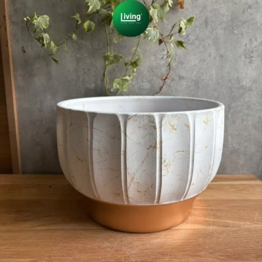 Chậu để bàn gôm sứ cao cấp, chậu trồng cây vân đá sang trọng - Giá chỉ 78.000đ