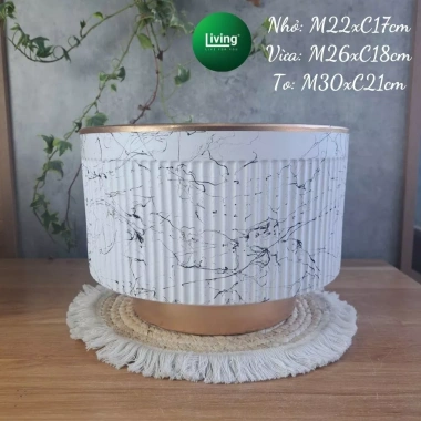 Chậu để bàn gôm sứ cao cấp, chậu trồng cây vân đá sang trọng - Giá chỉ 78.000đ