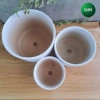 Chậu để bàn gôm sứ cao cấp, chậu trồng cây vân đá sang trọng - Giá chỉ 78.000đ 9