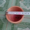 Chậu Gỗ Trồng Cây Trụ Tròn - Độc Đáo, Tự Nhiên, Thân Thiện Môi Trường, Giá 79.000 VND 5