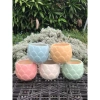 Chậu Gốm Bát Tràng Đá Dáng Búp 10cm – Sen, Xương Rồng, Cây Cảnh Bàn, Giá 58k