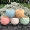 Chậu Gốm Bát Tràng Đá Dáng Búp 10cm – Sen, Xương Rồng, Cây Cảnh Bàn, Giá 58k 2