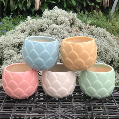 Chậu Gốm Bát Tràng Đá Dáng Búp 10cm – Sen, Xương Rồng, Cây Cảnh Bàn, Giá 58k