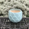 Chậu Gốm Bát Tràng Đá Dáng Búp 10cm – Sen, Xương Rồng, Cây Cảnh Bàn, Giá 58k 6