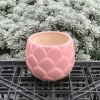 Chậu Gốm Bát Tràng Đá Dáng Búp 10cm – Sen, Xương Rồng, Cây Cảnh Bàn, Giá 58k 7