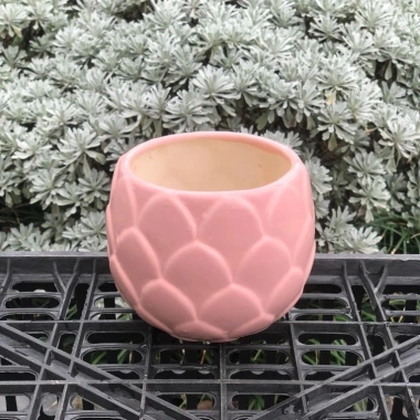 Chậu Gốm Bát Tràng Đá Dáng Búp 10cm – Sen, Xương Rồng, Cây Cảnh Bàn, Giá 58k