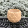 Chậu Gốm Bát Tràng Đá Dáng Búp 10cm – Sen, Xương Rồng, Cây Cảnh Bàn, Giá 58k 8