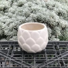 Chậu Gốm Bát Tràng Đá Dáng Búp 10cm – Sen, Xương Rồng, Cây Cảnh Bàn, Giá 58k 9