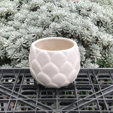 Chậu Gốm Bát Tràng Đá Dáng Búp 10cm – Sen, Xương Rồng, Cây Cảnh Bàn, Giá 58k