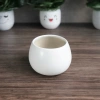 Chậu gốm hạt dẻ tròn trơn 9x10cm - Trồng hoa, cây cảnh, giá ưu đãi 48.000đ 4