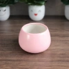 Chậu gốm hạt dẻ tròn trơn 9x10cm - Trồng hoa, cây cảnh, giá ưu đãi 48.000đ 5