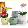 Chậu gốm hiện đại dạng lẻ phong, trồng cây cầm hoa, decor nhà cửa xinh xắn Living Decor