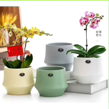 Chậu gốm hiện đại dạng lẻ phong, trồng cây cầm hoa, decor nhà cửa xinh xắn Living Decor