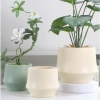 Chậu gốm hiện đại dạng lẻ phong, trồng cây cầm hoa, decor nhà cửa xinh xắn Living Decor 2