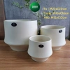 Chậu gốm hiện đại dạng lẻ phong, trồng cây cầm hoa, decor nhà cửa xinh xắn Living Decor 3