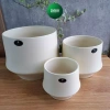 Chậu gốm hiện đại dạng lẻ phong, trồng cây cầm hoa, decor nhà cửa xinh xắn Living Decor 6