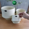 Chậu gốm hiện đại dạng lẻ phong, trồng cây cầm hoa, decor nhà cửa xinh xắn Living Decor 7