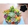 Chậu gốm mix sẵn sen đá xương rồng tiểu cảnh 18x14x7cm - Giá ưu đãi 199.000₫