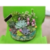 Chậu gốm mix sẵn sen đá xương rồng tiểu cảnh 18x14x7cm - Giá ưu đãi 199.000₫ 8