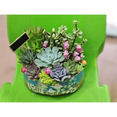 Chậu gốm mix sẵn sen đá xương rồng tiểu cảnh 18x14x7cm - Giá ưu đãi 199.000₫ 8 Chậu gốm mix sẵn sen đá xương rồng tiểu cảnh 18x14x7cm - Giá ưu đãi 199.000₫ 8