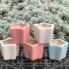 Chậu Gốm Ngôi Sao Pastel Mini 7cm - Trồng Sen Đá, Xương Rồng, Trang Trí Bàn Làm Việc Giá 28.000₫