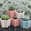 Chậu Gốm Ngôi Sao Pastel Mini 7cm - Trồng Sen Đá, Xương Rồng, Trang Trí Bàn Làm Việc Giá 28.000₫ 2