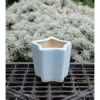 Chậu Gốm Ngôi Sao Pastel Mini 7cm - Trồng Sen Đá, Xương Rồng, Trang Trí Bàn Làm Việc Giá 28.000₫ 6