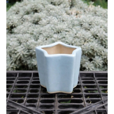 Chậu Gốm Ngôi Sao Pastel Mini 7cm - Trồng Sen Đá, Xương Rồng, Trang Trí Bàn Làm Việc Giá 28.000₫ 6