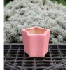 Chậu Gốm Ngôi Sao Pastel Mini 7cm - Trồng Sen Đá, Xương Rồng, Trang Trí Bàn Làm Việc Giá 28.000₫ 7