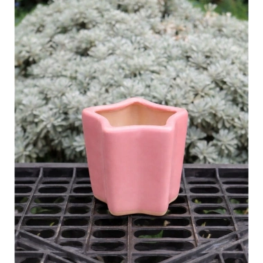 Chậu Gốm Ngôi Sao Pastel Mini 7cm - Trồng Sen Đá, Xương Rồng, Trang Trí Bàn Làm Việc Giá 28.000₫ 7