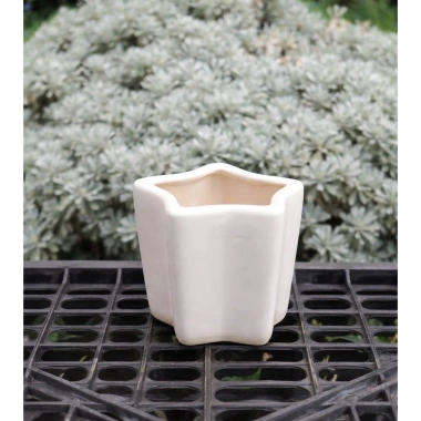 Chậu Gốm Ngôi Sao Pastel Mini 7cm - Trồng Sen Đá, Xương Rồng, Trang Trí Bàn Làm Việc Giá 28.000₫ 8