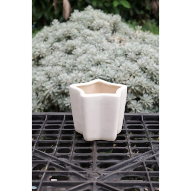 Chậu Gốm Ngôi Sao Pastel Mini 7cm - Trồng Sen Đá, Xương Rồng, Trang Trí Bàn Làm Việc Giá 28.000₫ 9