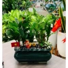Chậu Gốm Sứ Ang Viền Mini - Chậu Cây Cảnh Độc Đáo Huy Nam, Giá 106.000 VND 9