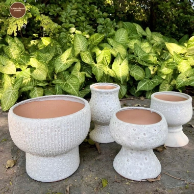 Chậu gốm sứ Bát Tràng men sôi trắng khoan lỗ - Trang trí hoa lan, nội thất, giá 129.000 VND 2